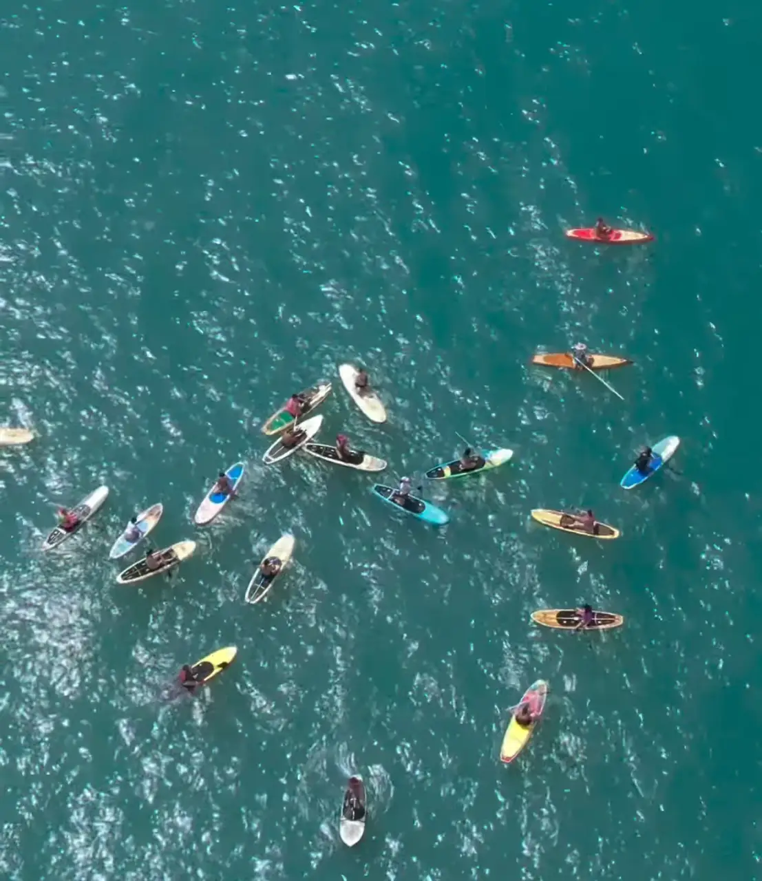 Rema Forte SUP & Surf