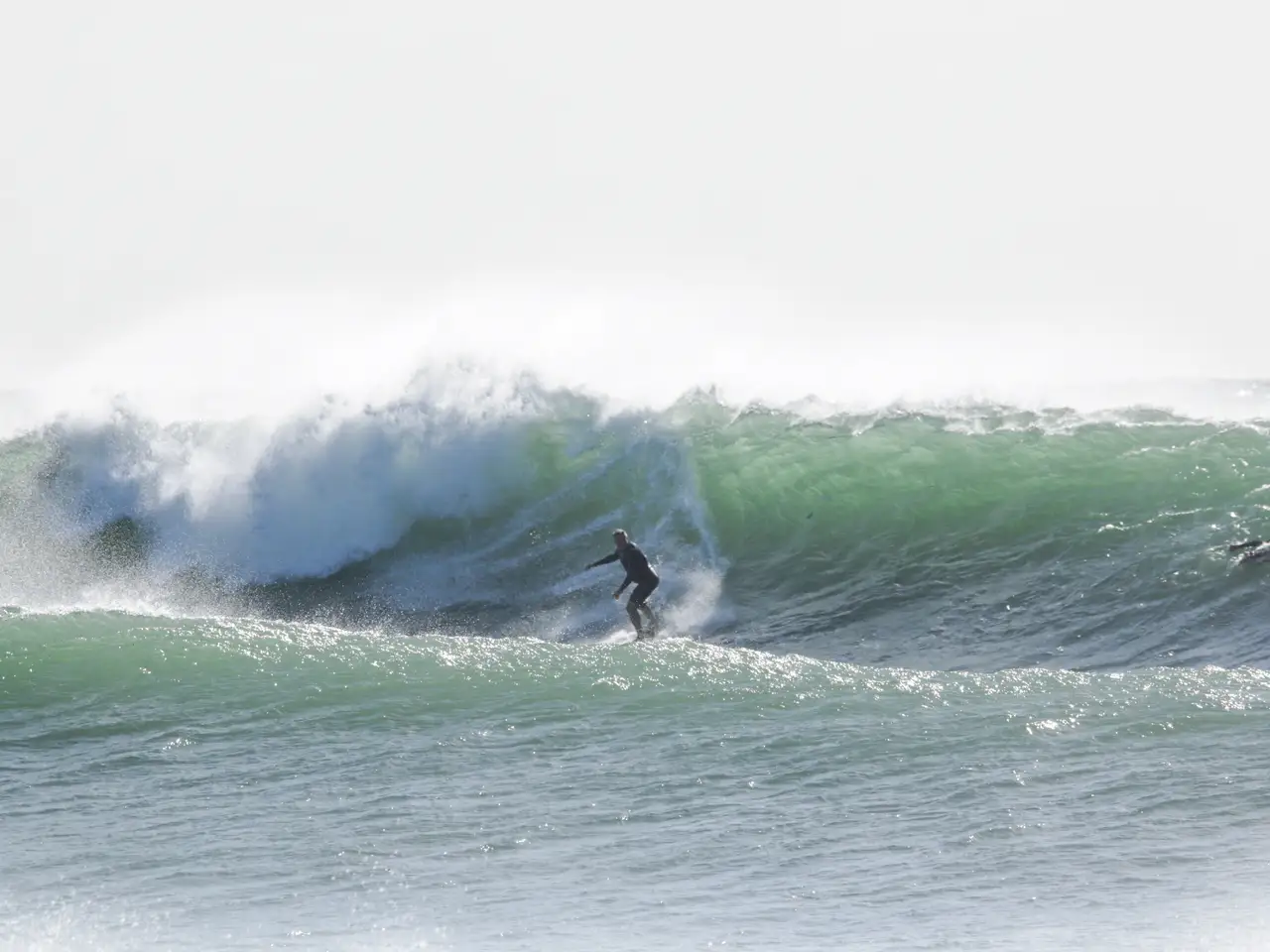 Prosurftraining by @tavinhogarcez